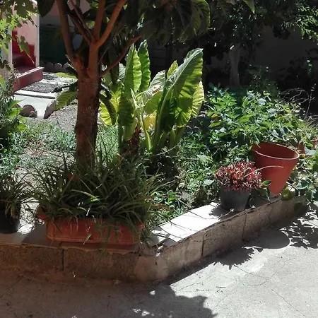 Il Girasole *