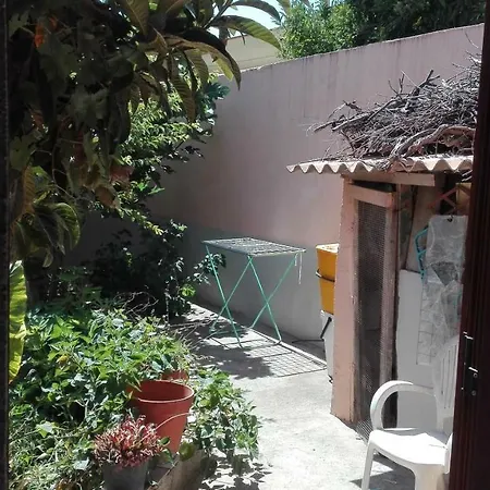 Il Girasole